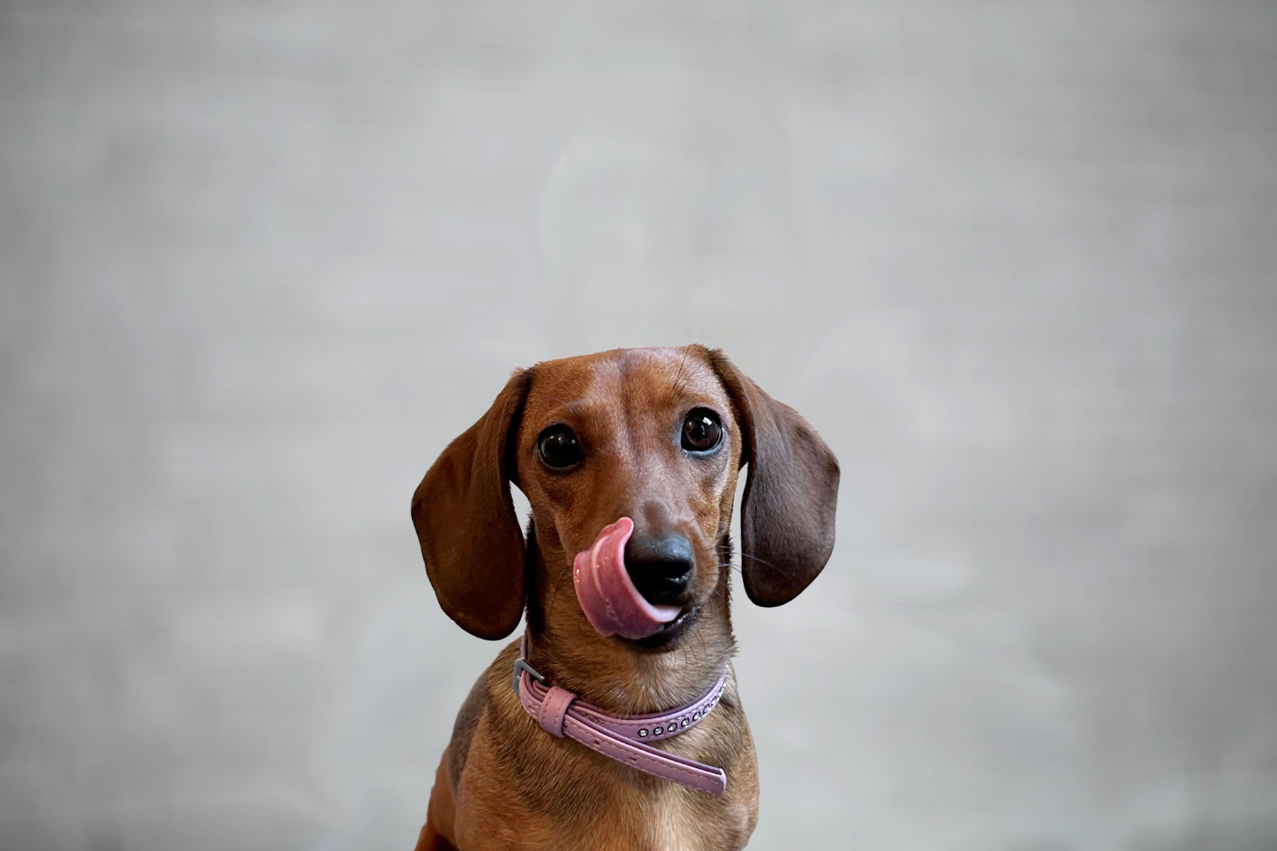 Sissi ist unsere Spezialistin für die Office Happiness